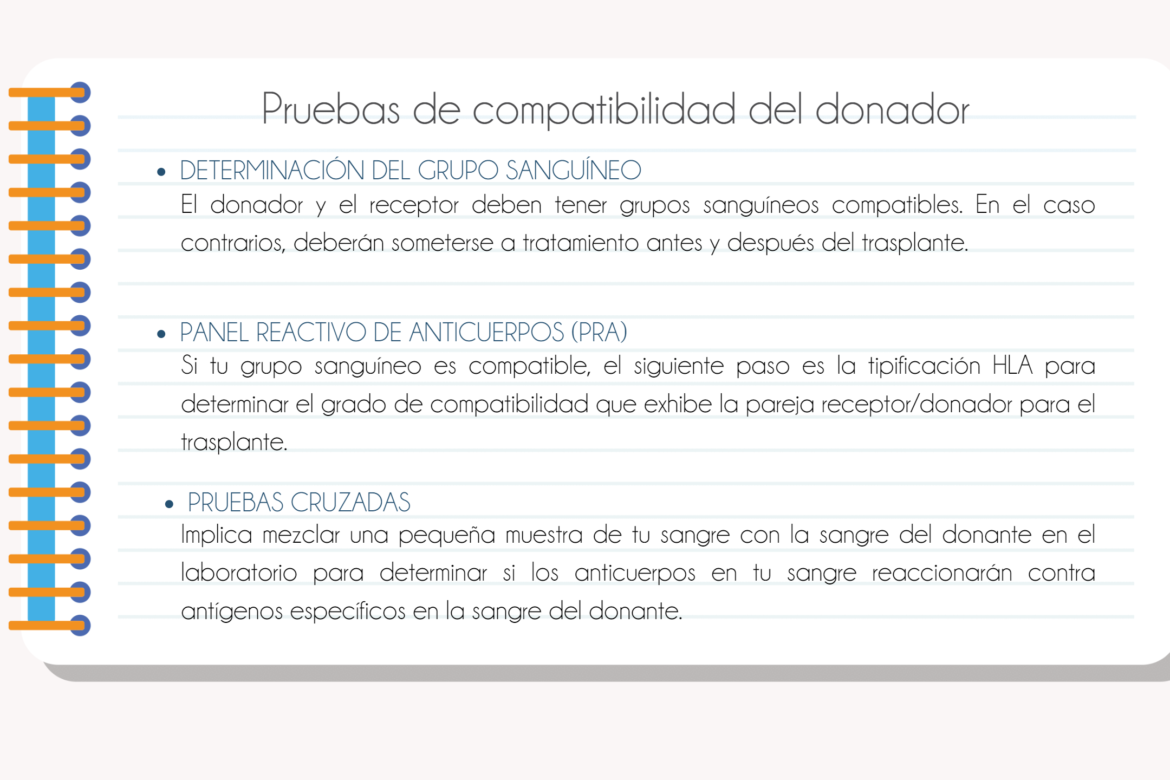 Pruebas de compatibilidad trasplante